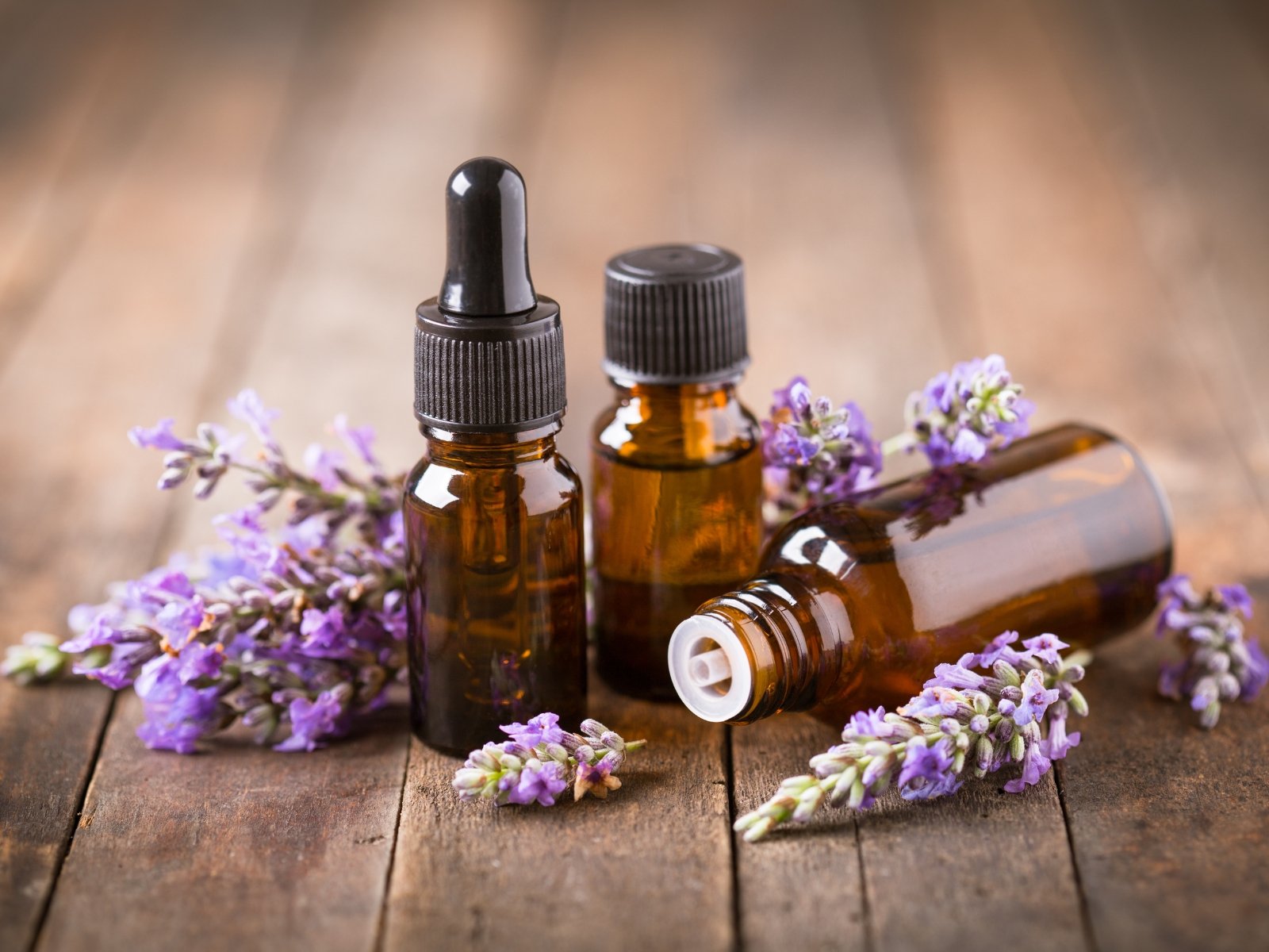 anti puce naturel chat lavande