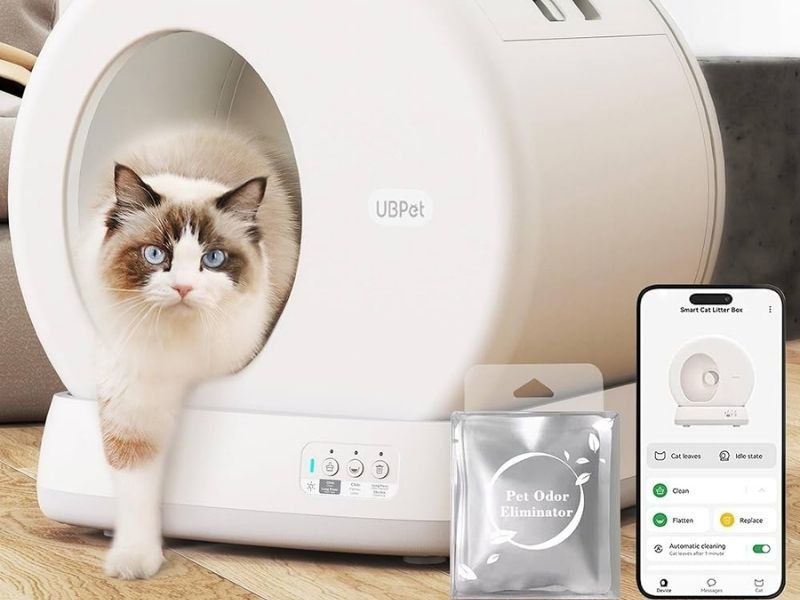 litiere chat automatique sans odeur