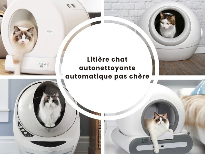 litiere chat autonettoyante automatique electrique