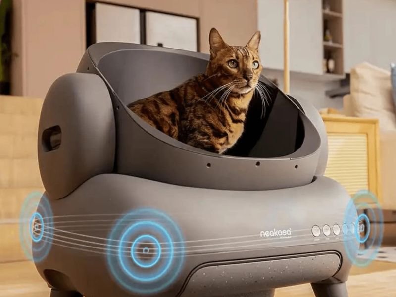 litiere chat autonettoyante xxl